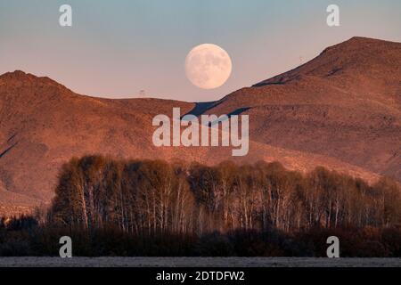 USA, Idaho, Bellevue, Vollmond, der in der Dämmerung über den Bergen aufsteigt Stockfoto