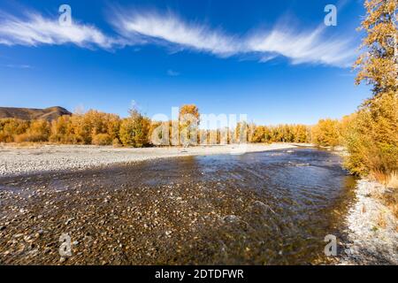 USA, Idaho, Bellevue, Landschaft mit Big Wood River im Herbst Stockfoto