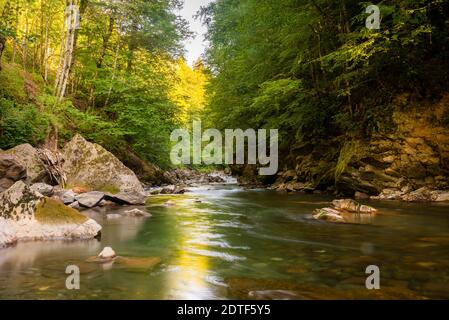 Gebirgsfluss im Wald. Wasser auf den Steinen. Stockfoto