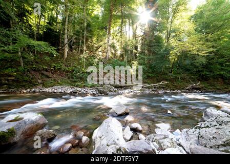 Gebirgsfluss im Wald. Wasser auf den Steinen. Stockfoto