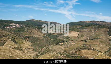 Panorama einer großen Fläche von Land mit Weinbergen bepflanzt In den Bergen Portugals Stockfoto