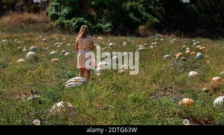 Rückansicht auf Frau mit orangefarbenem Kleid ist in der Kürbis-Patch. Sommer Hintergrund mit Person Stockfoto