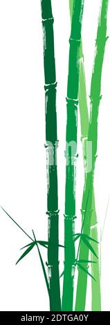 Handgezeichnete Illustration einer Bambus-grünen Silhouette vor weißem Hintergrund. Leicht editierbare Vektorgrafik mit Ebenen. Stock Vektor