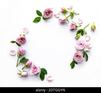 Rahmen von Rosen auf weißem Hintergrund. Flach zu legen. Stockfoto