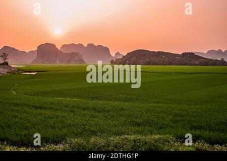 Schöner Sonnenaufgang über dem Reisfeld in den Landschaften von Ninh Binh, Vietnam Stockfoto