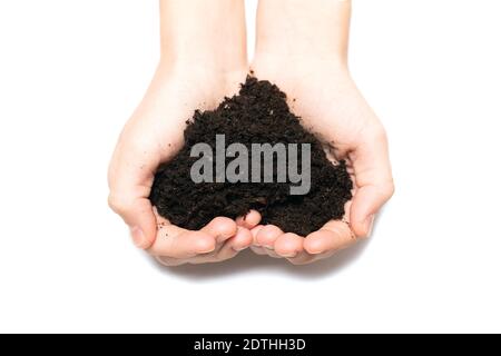 Weibliche Hände halten in Handflächen von fruchtbarem Boden in Form von Herz isoliert auf weißem Hintergrund. Draufsicht. Bio-Garten, Landwirtschaft Stockfoto