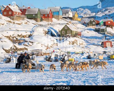 Schlittenhund im Winter verlässt in Uummannaq im Nordwesten Grönlands ein Hundeteam mit Fischern den gefrorenen Hafen. Hunde-Teams sind noch Entwurf an Stockfoto