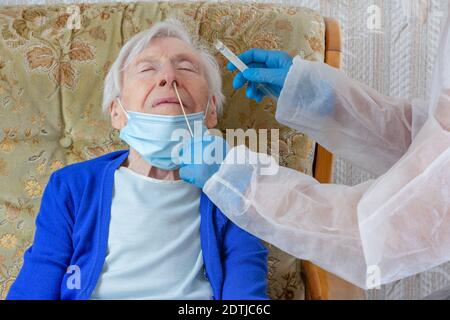 PCR-Test zu Hause, bei älteren Menschen Stockfoto