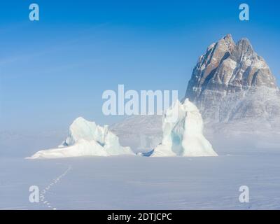 Eisberge erstarrten im Winter im nordwestlichen grönland nördlich des Polarkreises im Meereis des Uummannaq Fjordsystems. Hintergrund ist Uum Stockfoto