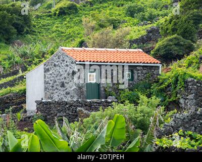 Dorf Calheta de Nesquim, kleine traditionelle Weinberge mit Gebäude für Weinlese und Lagerung. Pico Island, eine Insel auf den Azoren (Ilhas dos AC Stockfoto