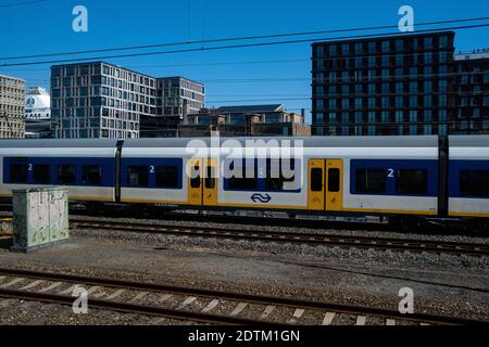 Vie quotidienne à Amsterdam. Tägliches Leben in Amsterdam. Stockfoto