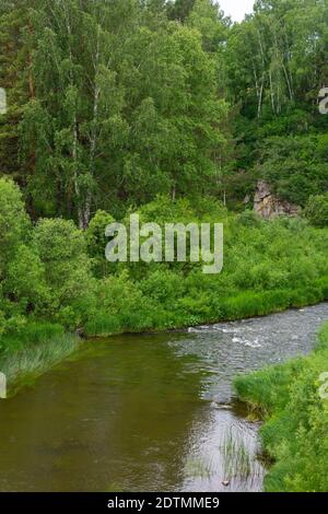 Kleiner Wald Fluss Alchedat, Kemerowo Region-Kuzbass Stockfoto