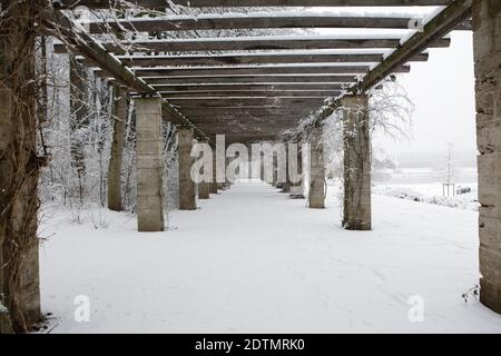 Winter im Leipziger Palmengarten, Schnee, Kälte, Eindrücke Stockfoto