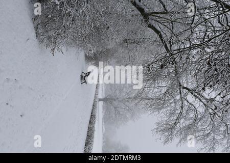 Winter im Leipziger Palmengarten, Schnee, Kälte, Eindrücke, leere Parkbank Stockfoto