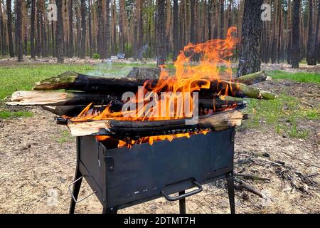 Flamme aus brennenden Holzstämmen im Kamin. Holzfeuer für Grill auf Natur vorbereitet. BBQ mit brennendem Brennholz. Picknick. Stockfoto