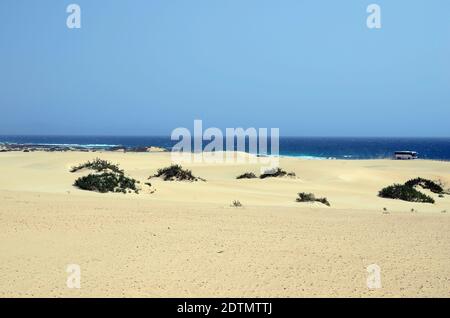 Spanien, Kanarische Inseln, Fuerteventura, Wüste und Dünen im Naturpark El Jable mit Küstenstraße Stockfoto