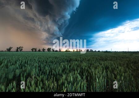 Gewitter über einem Feld Stockfoto