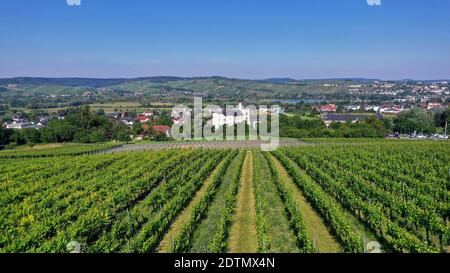 Victor's Residenz Hotel Schloss Berg, Nennig an der Obermosel, Saarland, Obermosel, Moseltal, Saarland, Deutschland Stockfoto