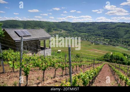 Römisches Grab auf dem Römerberg bei Nehren, Moseltal, Rheinland-Pfalz, Deutschland Stockfoto