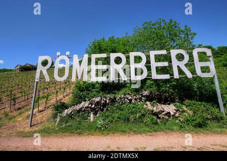 Römisches Grab auf dem Römerberg bei Nehren, Moseltal, Rheinland-Pfalz, Deutschland Stockfoto