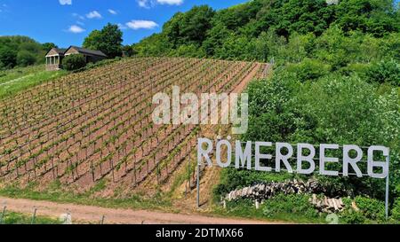 Römisches Grab auf dem Römerberg bei Nehren, Moseltal, Rheinland-Pfalz, Deutschland Stockfoto