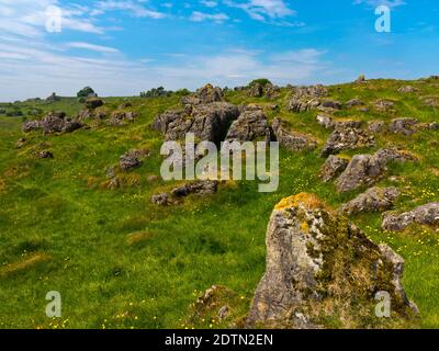 Kalksteinfelsen in der Landschaft bei Carsington Weiden in der Nähe von Brassington In der Derbyshire Dales England Stockfoto