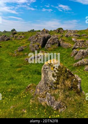 Kalksteinfelsen in der Landschaft bei Carsington Weiden in der Nähe von Brassington In der Derbyshire Dales England Stockfoto