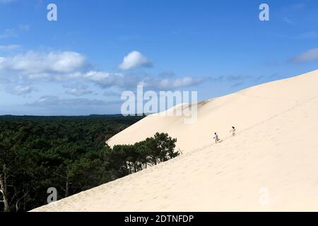 Die Düne von Pilat (oder Pyla) in der Bucht von Arcachon (Südwestfrankreich): Zwei Personen laufen im Sand der Dünen, mit Landes de Gascogne Wald i Stockfoto