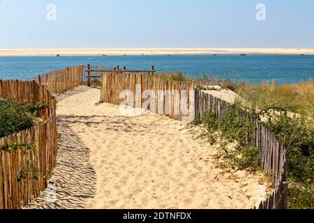 La Teste-de-Buch (Südwestfrankreich): Strand „Plage du Petit-Nice“. Sandgedeckter Weg zum Strand und Übersicht über die Bucht von Arcachon Stockfoto