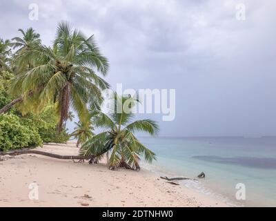 Tropischer Inselstrand, Malediven Stockfoto