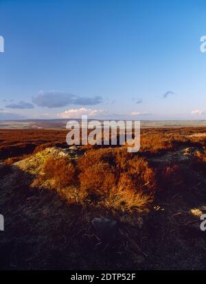 Sehen Sie sich NNE von hob Hurt's House an, eine quadratische prähistorische Grabkammer und Grabkammer in einer irdenen Bank auf Beeley Moor, Derbyshire, England, Großbritannien. Stockfoto