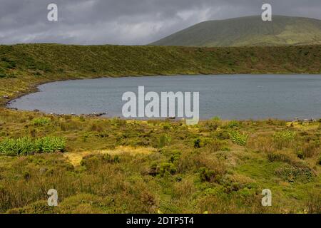 Landschap Azoren; Querformat Azoren Stockfoto