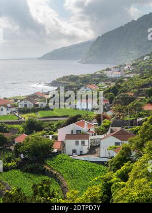 Faja dos Vimes. Sao Jorge Island, eine Insel auf den Azoren (Ilhas dos Acores) im Atlantischen Ozean. Die Azoren sind eine autonome Region Portugals. Stockfoto