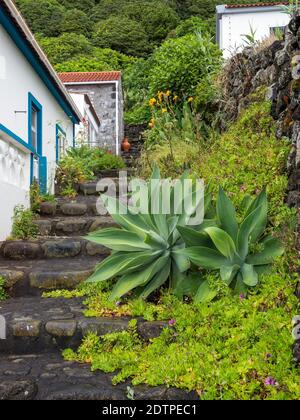 Faja das Almas an der Südküste. Sao Jorge Island, eine Insel auf den Azoren (Ilhas dos Acores) im Atlantischen Ozean. Die Azoren sind autonom Stockfoto