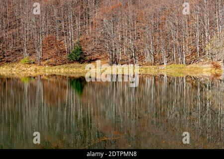 Schöne Herbstreflexionen auf dem Wasser des Sees Santo Modenese, Italien Stockfoto