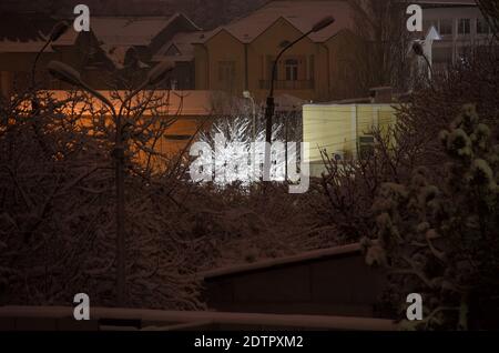 Baum beleuchtet von einer Laterne in der Nacht im Winter, in der Mitte von anderen Bäumen und Häusern, alle mit Schnee bedeckt Stockfoto