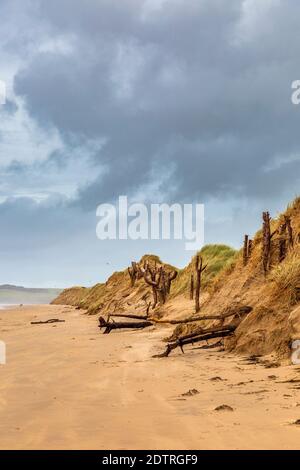 Sanddünen am Malltraeth Strand am Rande des Newborough Waldes auf Llanddwyn Island, Anglesey, Wales Stockfoto