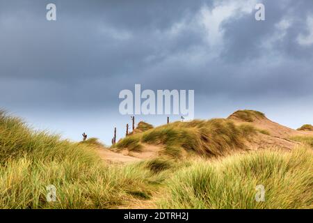Sanddünen am Malltraeth Strand am Rande des Newborough Waldes auf Llanddwyn Island, Anglesey, Wales Stockfoto