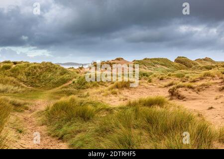 Sanddünen am Malltraeth Strand am Rande des Newborough Waldes auf Llanddwyn Island, Anglesey, Wales Stockfoto