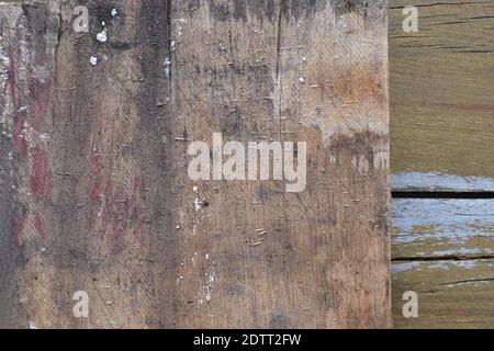 Textur. Holzbrett aus verarbeiteten Eukalyptusfasern, Holzfaserbrett, gezoomtes Foto, Texturstil, Szene oder abstrakter Hintergrund, Brasilien, Süden Stockfoto