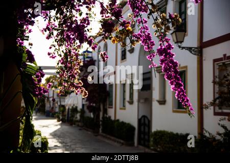 Weiße Straßen im berühmten Dorf Puerto de Mogan auf den Kanarischen Inseln, Spanien Stockfoto