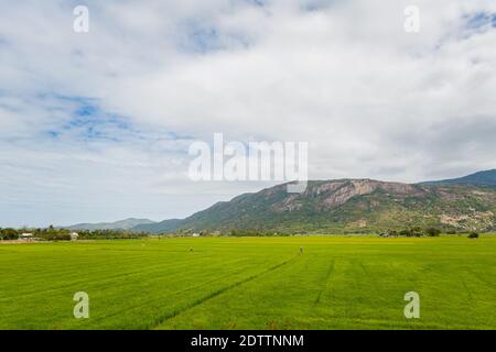 Schönes Foto von Cam Ranh Felder mit Bergen im Hintergrund, Vietnam. Provinz Khanh Hoa. Stockfoto