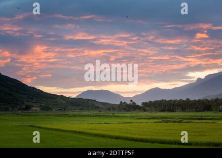 Schönes Abendfoto von Cam Ranh Felder bei Sonnenuntergang mit Bergen im Hintergrund, Vietnam. Provinz Khanh Hoa. Stockfoto