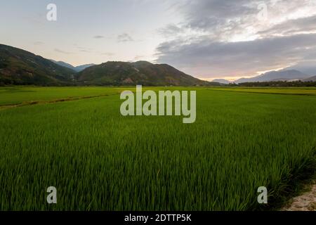 Schönes Abendfoto von Cam Ranh Felder bei Sonnenuntergang mit Bergen im Hintergrund, Vietnam. Provinz Khanh Hoa. Stockfoto