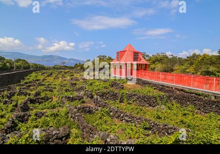 Weinmuseum Pico (Museu do Vinho), Azoren, Insel Pico, Portugal Stockfoto