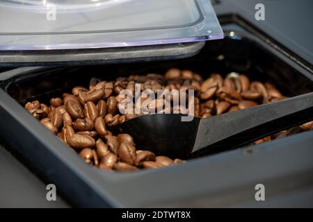 Geröstete Kaffeebohnen im Tablett einer modernen Kaffeemaschine Stockfoto