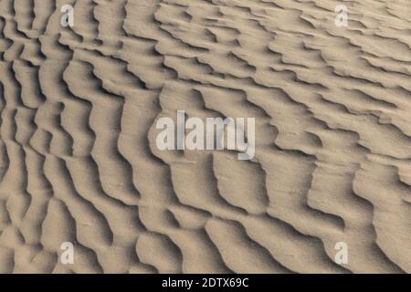 Muster im Sand durch den Wind, Mesquite Dunes, Death Valley, Kalifornien. Gesamteffekt ist ein ruhiges, fließendes Muster, ähnlich wie Wellen in einem steifen Stockfoto