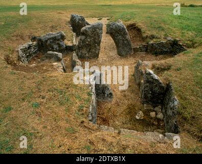 Sehen Sie ESE über die Terminal & seitlichen Grabkammern von Nympsfield Long Barrow zu vorspringenden Pfosten des verengten Eingangs vom Vorraum. Stockfoto