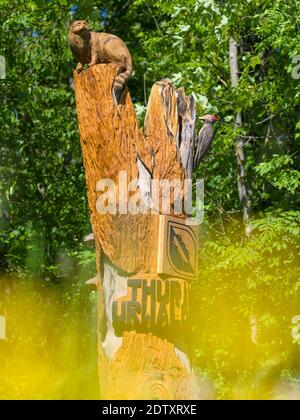 Europäische Wildkatze, aus Holz geschnitzt. Das Symbol und Maskottchen des NP. Der Wald Hainich in Thüringen, Nationalpark und Teil der UNESCO-Welt er Stockfoto