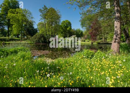 The Folly Garden im Frühling, Cholmondeley Castle, Cholmondeley, Cheshire, England, Großbritannien Stockfoto